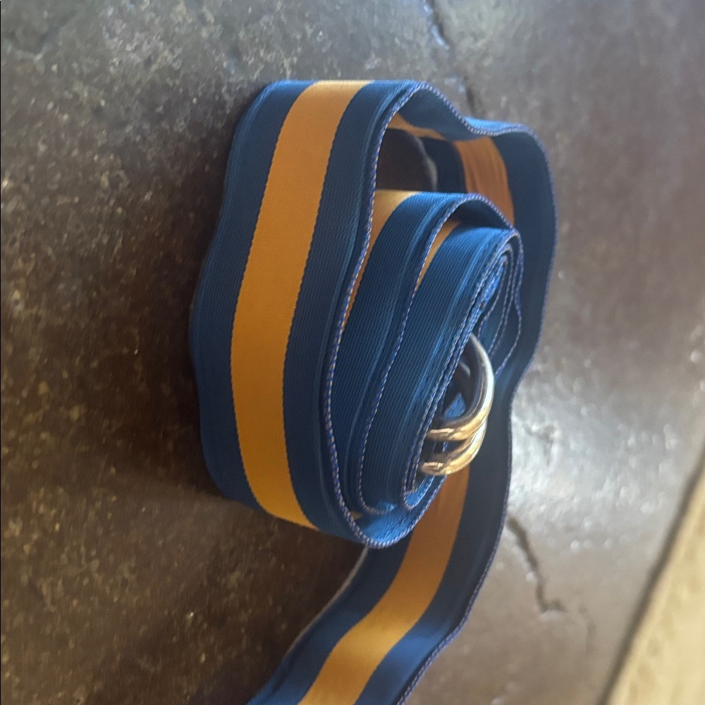 J. Crew Blue and Yellow D-Ring Webbing Belt